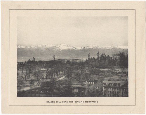 Beacon Hill Park and Olympic Mountains